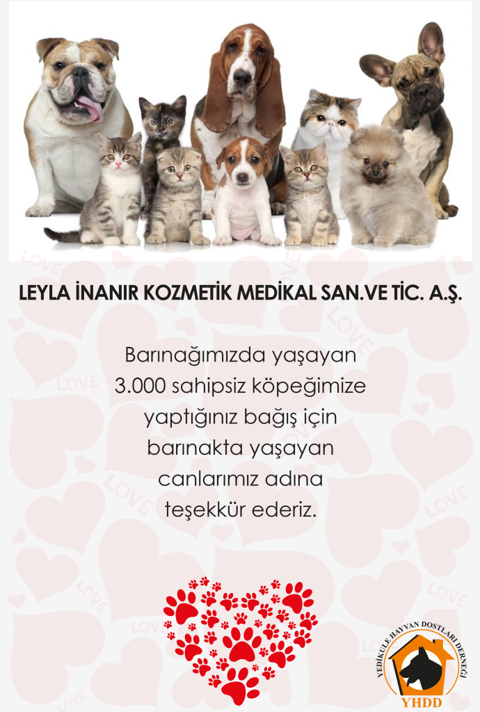 Yedikule Hayvan Dostları Derneği teşekkür belgesi